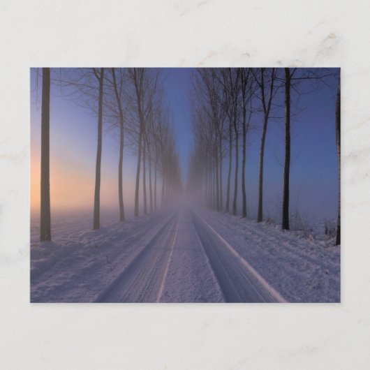 カントリー側の近くのカスタグノレ |ピエモンテ・イタリア ポストカード (正面)