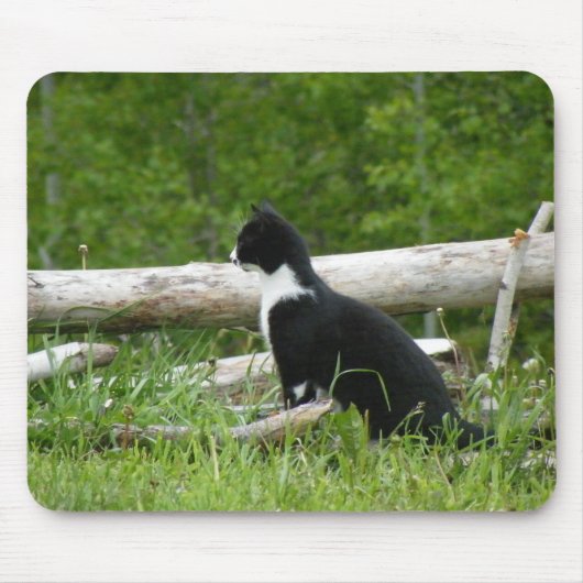 カントリー猫マウスパッド マウスパッド (正面)