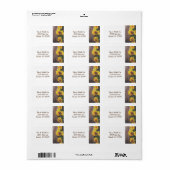 カントリー素朴スンフラワーズオンバーンウッドアドレス ラベル (フルシート)