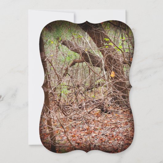 カントリー素朴ディアハンターズ結婚式招待状 招待状 (裏面)