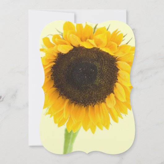 カントリー素朴バーンサンフラワー結婚式招待状 招待状 (裏面)