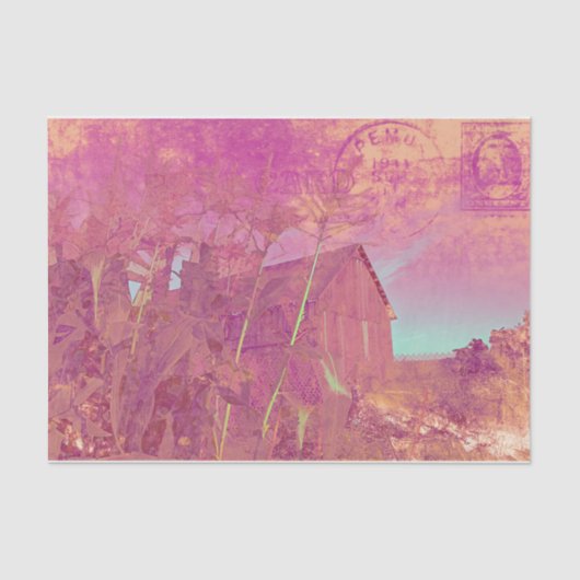 カントリー素朴バーンピンクイエローエフエメラスクリプト 薄葉紙 (正面)