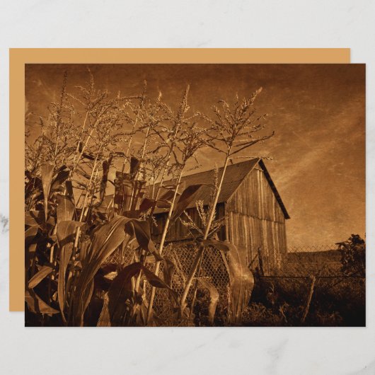 カントリー素朴バーンヴィンテージブラウンファームテクスチャ (正面/裏面)