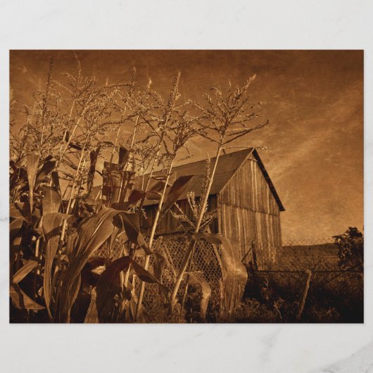 カントリー素朴バーンヴィンテージブラウンファームテクスチャ (正面)