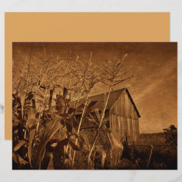 カントリー素朴バーンヴィンテージブラウンファームテクスチャ