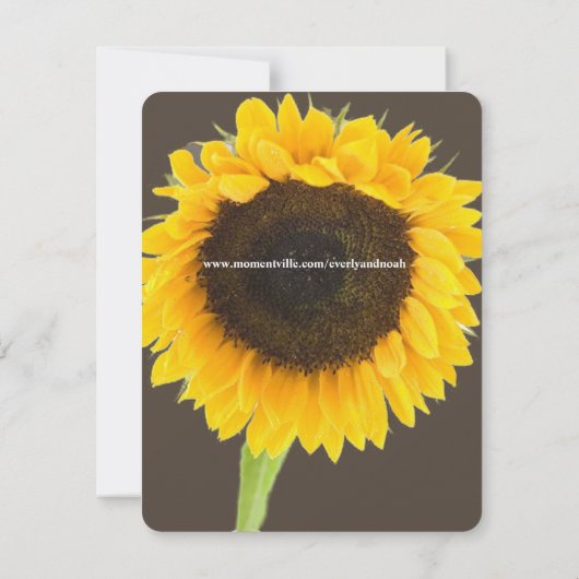 カントリー素朴ファームハウスサンフラワー日付を保存 セーブザデート (裏面)