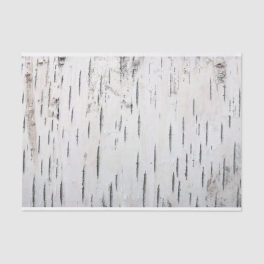 カントリー素朴樺の木樹皮 薄葉紙 (正面)