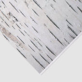 カントリー素朴樺の木樹皮 薄葉紙 (詳細)