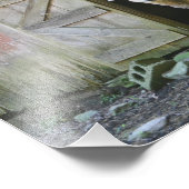 カントリー羊 フォトプリント            (角)