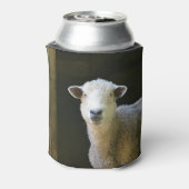カントリー羊 缶クーラー (缶裏面)