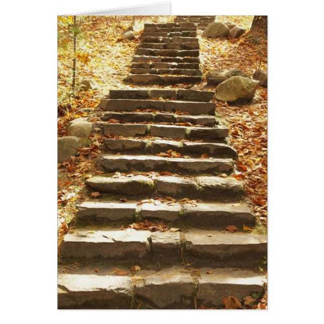 カントリー階段 (正面)