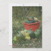 カントリー ガーデン ハーベスト ネイチャー パーティー 招待状 (裏面)