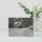 カントリー・スノーウィー・ドライブウェイ ポストカード (スタンド正面)