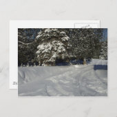 カントリー・スノーウィー・ドライブウェイ ポストカード (正面/裏面)