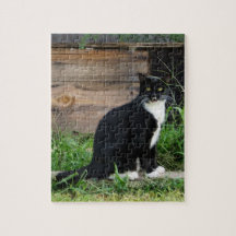 カントリー・タキシード猫