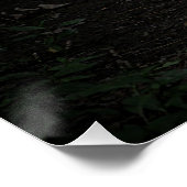 カントリー・チキン ポスター (コーナー)