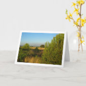 カントリー・パイン カード (黄色い花)