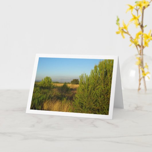 カントリー・パイン カード (黄色い花)