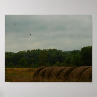 カントリー・ベール ポスター