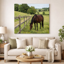 カントリー メドウ ホース