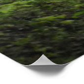 カントリー・レーン・ポスター ポスター (角)