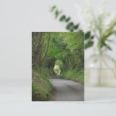 カントリー・レーン・ポストカード ポストカード (スタンド正面)