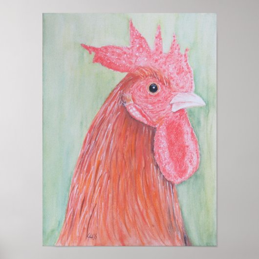 カントリー・ロスター・ウォーター・カラー ポスター (正面)