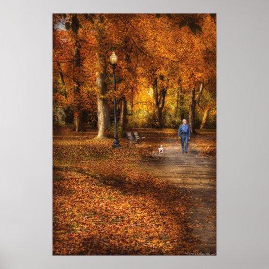 カントリー – 公園の散歩 ポスター (正面)