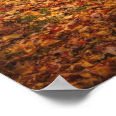 カントリー – 公園の散歩 ポスター (角)