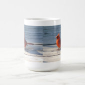 カントリー(鳥)ショウジョウコウカンチョウマグ コーヒーマグカップ (中央)