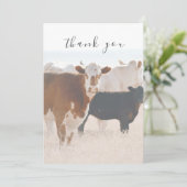 カントリ素朴ー牛インフィールド平サンキューカード サンキューカード (スタンド正面)