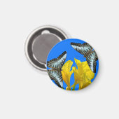 カンナキングのマレーシアの青いクリッパー蝶 マグネット (正面/裏面)