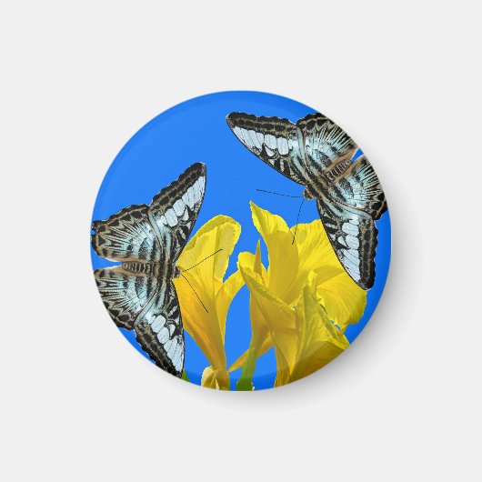 カンナキングのマレーシアの青いクリッパー蝶 マグネット (正面)