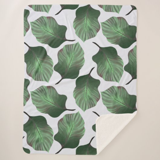 カンナトロピカナ熱帯葉グリーン シェルパブランケット (正面)