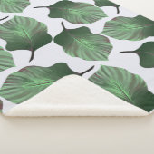 カンナトロピカナ熱帯葉グリーン シェルパブランケット (3/4)