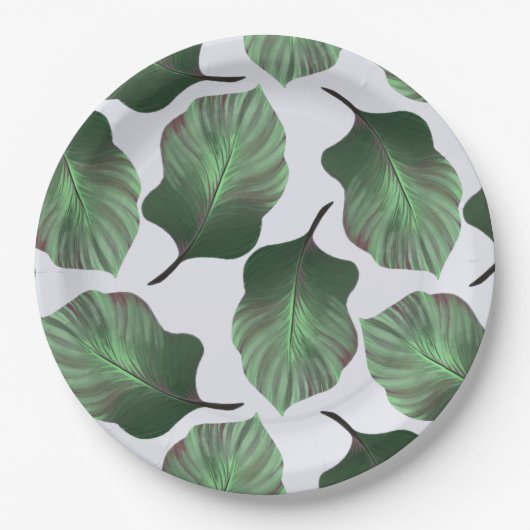 カンナトロピカナ熱帯葉グリーン ペーパープレート (正面)