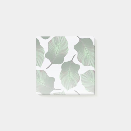 カンナトロピカナ熱帯葉グリーン ポストイット (正面)