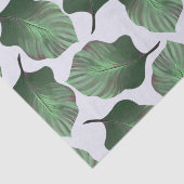 カンナトロピカナ熱帯葉グリーン 薄葉紙 (詳細)