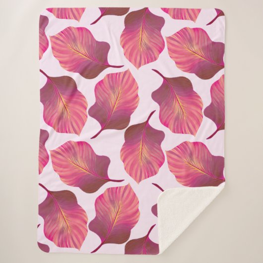 カンナトロピカ葉ナのピンク シェルパブランケット (正面)