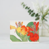 カンナバイタニガミ湖南 ポストカード (スタンド正面)