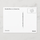 カンナリリーとのまわりに ポストカード (裏面)