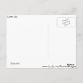 カンナリリーの花 ポストカード (裏面)