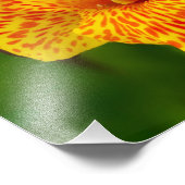 カンナリリー フォトプリント            (角)