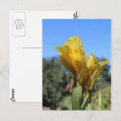 カンナ番号2 ポストカード (正面/裏面)