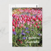 カンバラ オーストラリアのポストカード ポストカード (正面/裏面)