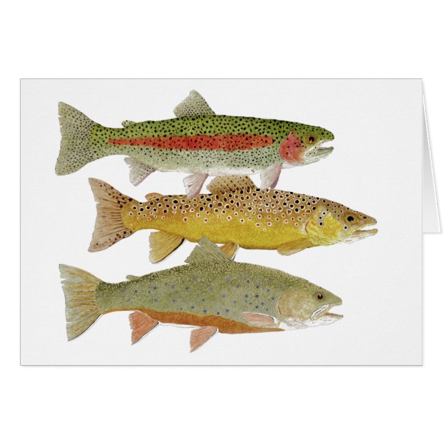 カンバーランドの谷のマスの無制限カード (正面横)