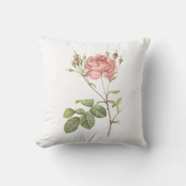 カンバーランドはRedoutéによって上がりました クッション