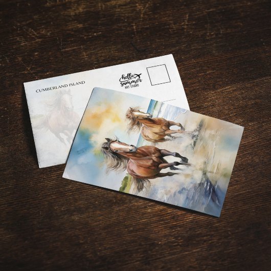 カンバーランド島国立公園馬葉書 招待状