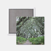 カンバーランド島 マグネット (正面/裏面)