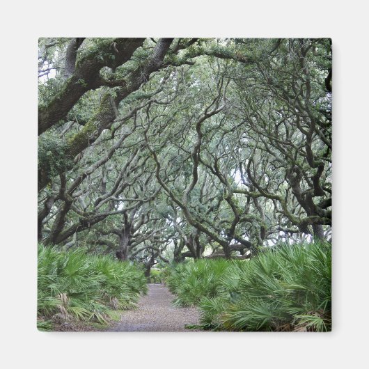 カンバーランド島 マグネット (正面)